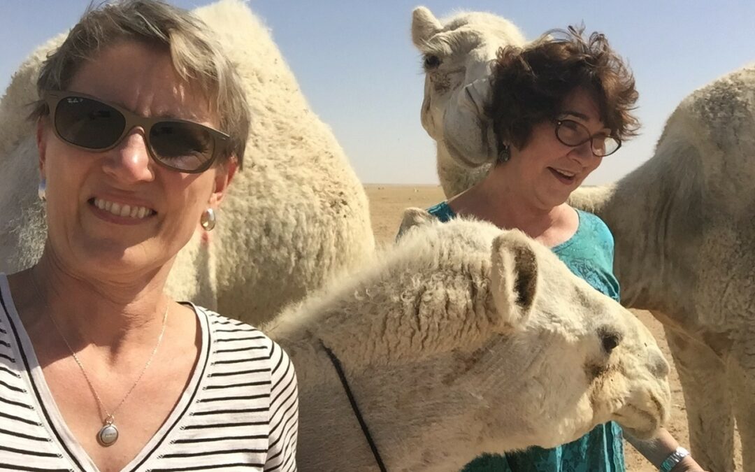 What would a visit to the desert be without camels?